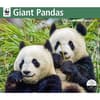 image Giant Pandas WWF 2025 Wall Calendar Main Image