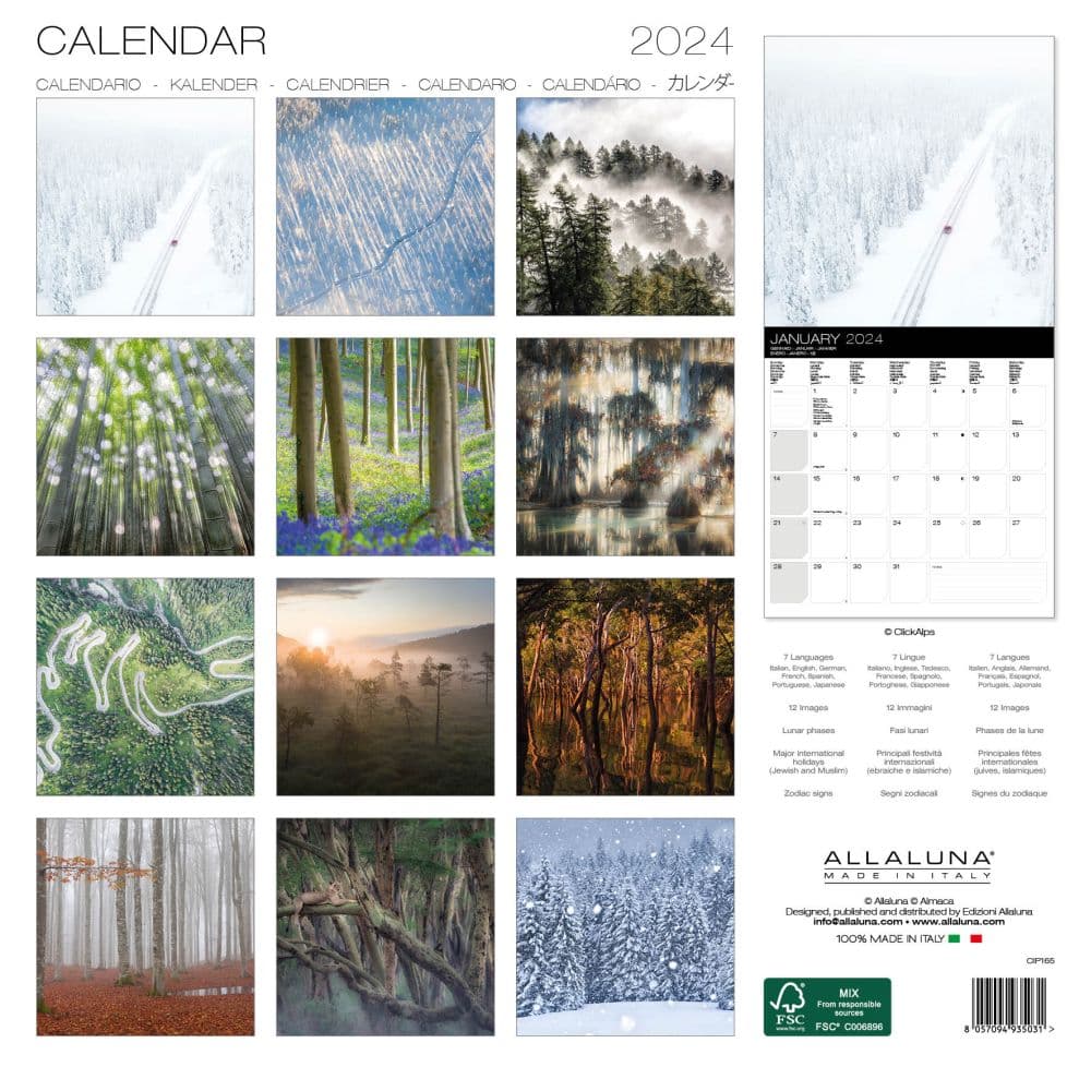 Forest 2024 Wall Calendar First Alternate Image width=&quot;1000&quot; height=&quot;1000&quot;