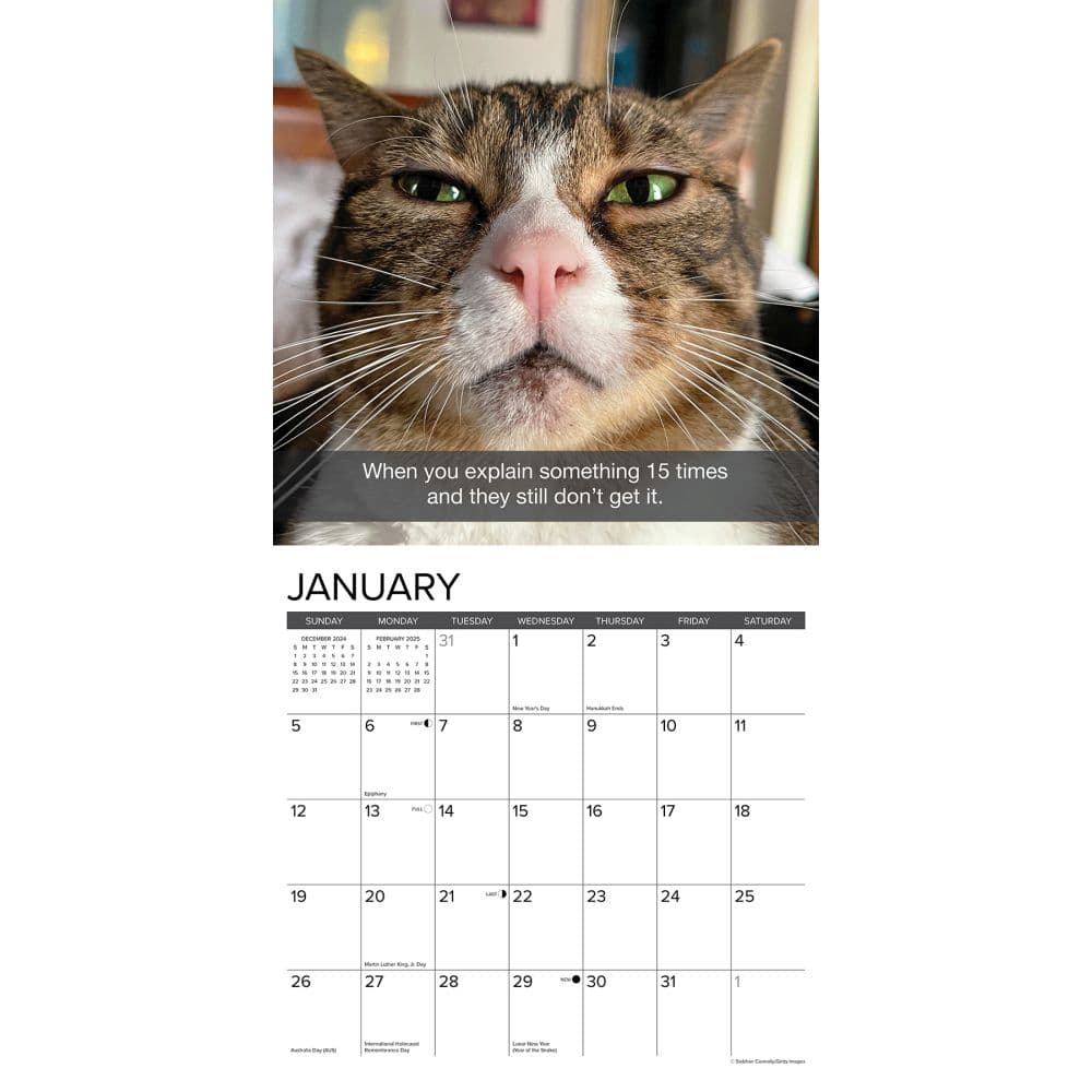 Snapcats 2025 Wall Calendar Second Alternate