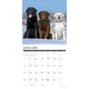 image Just Labs 2025 Wall Calendar Second Alternate Image width=&quot;1000&quot; height=&quot;1000&quot;