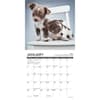 image Chihuahua Rules 2025 Mini Wall Calendar Second Alternate Image width=&quot;1000&quot; height=&quot;1000&quot;