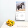 image Clydesdales 2025 Wall Calendar