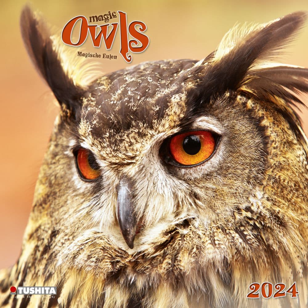 Magic Owls 2024 Wall Calendar Main Product Image width=&quot;1000&quot; height=&quot;1000&quot;