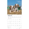 image Cavalier King Charles Puppies 2025 Wall Calendar First Alternate Image width=&quot;1000&quot; height=&quot;1000&quot;