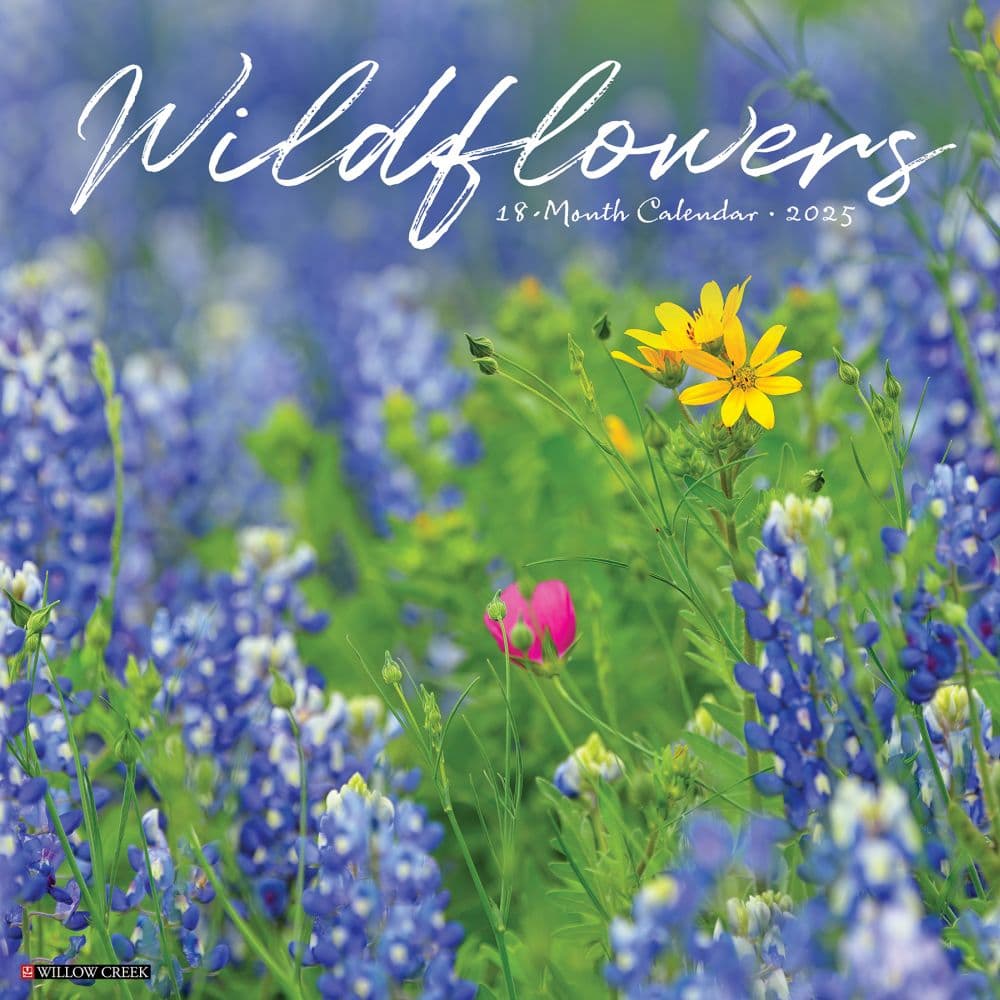 Wildflowers 2025 Wall Calendar  Main Image