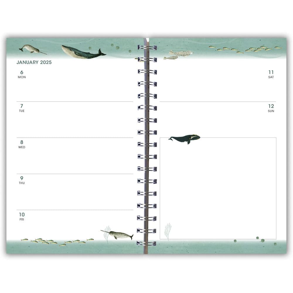 Whimsical Whales 2025 Planner Third Alternate Image width=&quot;1000&quot; height=&quot;1000&quot;