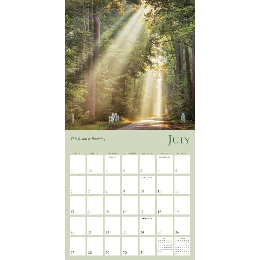 Enchanted Pathways Photography 2025 Wall Calendar Second Alternate Image width=&quot;1000&quot; height=&quot;1000&quot;