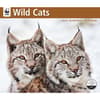 image Wild Cats WWF 2025 Wall Calendar Main Image