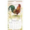 image Proud Rooster 2025 Vertical Wall Calendar by Susan Winget_ALT2
