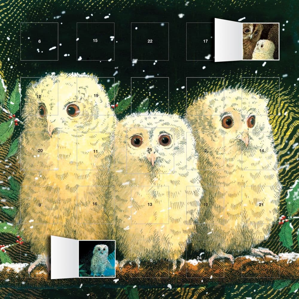 image Owl Babies Advent Calendar Main Product  Image width="1000" height="1000"