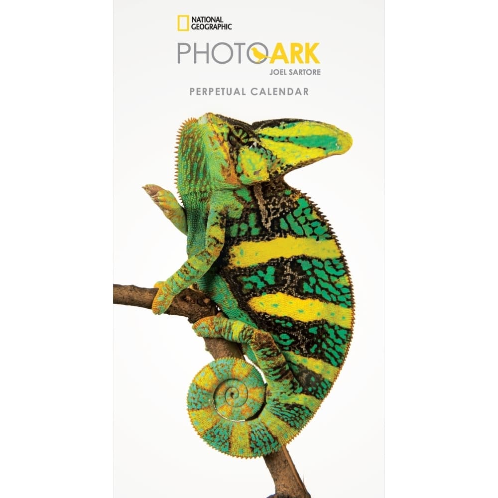image Photo Ark Mini Wall Calendar Main Product  Image width="1000" height="1000"