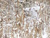 image Realtree   Snowy Archer 500 Piece Puzzle 2nd Product Detail  Image width="1000" height="1000"