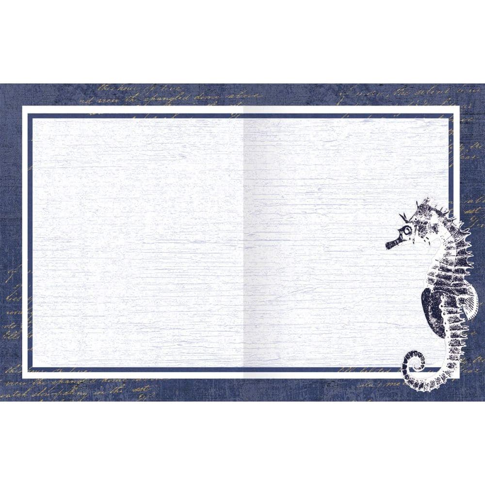 Ocean Treasure Boxed Note Cards by Suzanne Nicoll 2nd Product Detail  Image width="1000" height="1000"