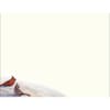 image Wintertime Cardinal Christmas Cards by Sam Timm 3rd Product Detail  Image width="1000" height="1000"