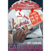 image St Louis Cardinals Large Gogo Gift Bag by MLB 3rd Product Detail  Image width=&quot;1000&quot; height=&quot;1000&quot;
