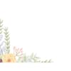 image sentiment garden assorted boxed note cards image 7 width="1000" height="1000"
