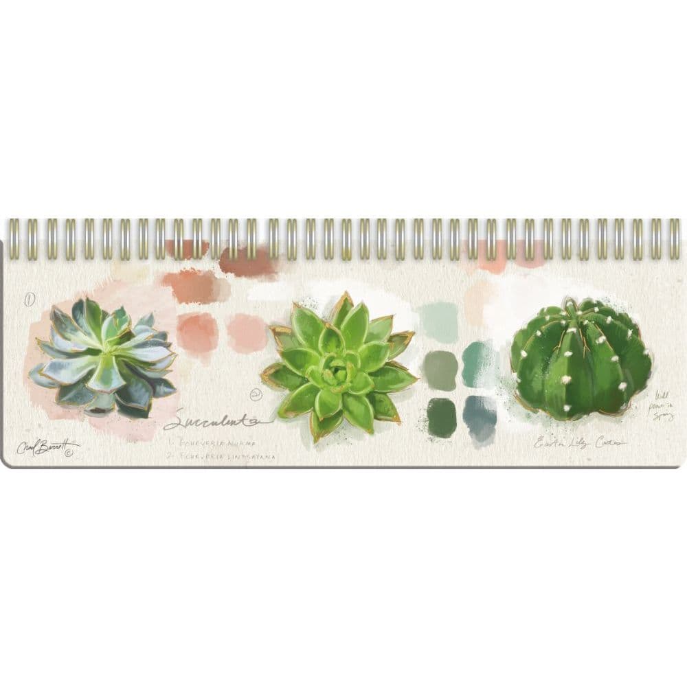 Succulent Study Weekly Organizer by Chad Barrett 2nd Product Detail  Image width="1000" height="1000"