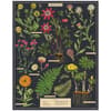 image Herbarium 1000 Piece Puzzle by Cavallini 2nd Product Detail  Image width=&quot;1000&quot; height=&quot;1000&quot;