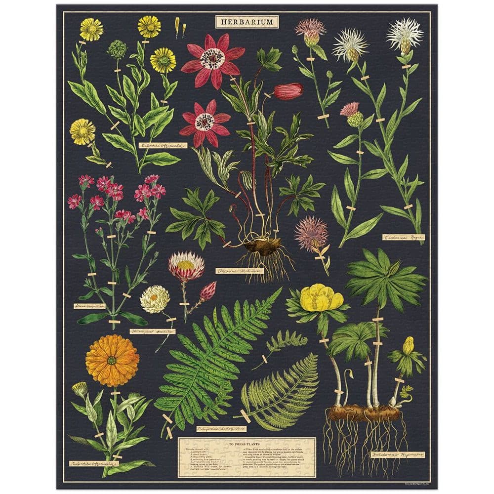 Herbarium 1000 Piece Puzzle by Cavallini 2nd Product Detail  Image width=&quot;1000&quot; height=&quot;1000&quot;