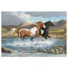 image Stream Canter 1000 Piece Puzzle by Persis Clayton Weirs 2nd Product Detail  Image width=&quot;1000&quot; height=&quot;1000&quot;