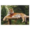 image Majestic Tiger 1000Pc Puzzle 2nd Product Detail  Image width=&quot;1000&quot; height=&quot;1000&quot;