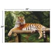 image Majestic Tiger 1000Pc Puzzle 5th Product Detail  Image width=&quot;1000&quot; height=&quot;1000&quot;