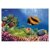 image Coral Reef 1000Pc Puzzle 2nd Product Detail  Image width="1000" height="1000"