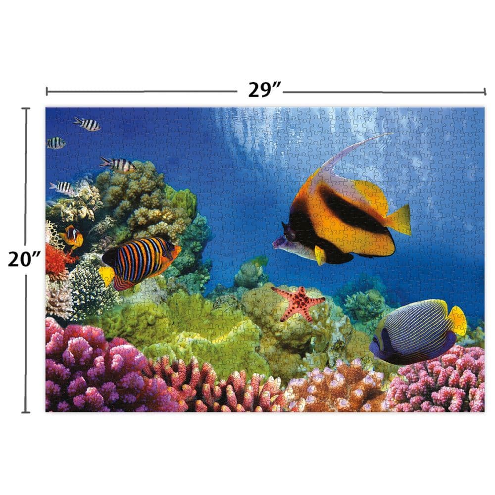 Coral Reef 1000Pc Puzzle 5th Product Detail  Image width="1000" height="1000"