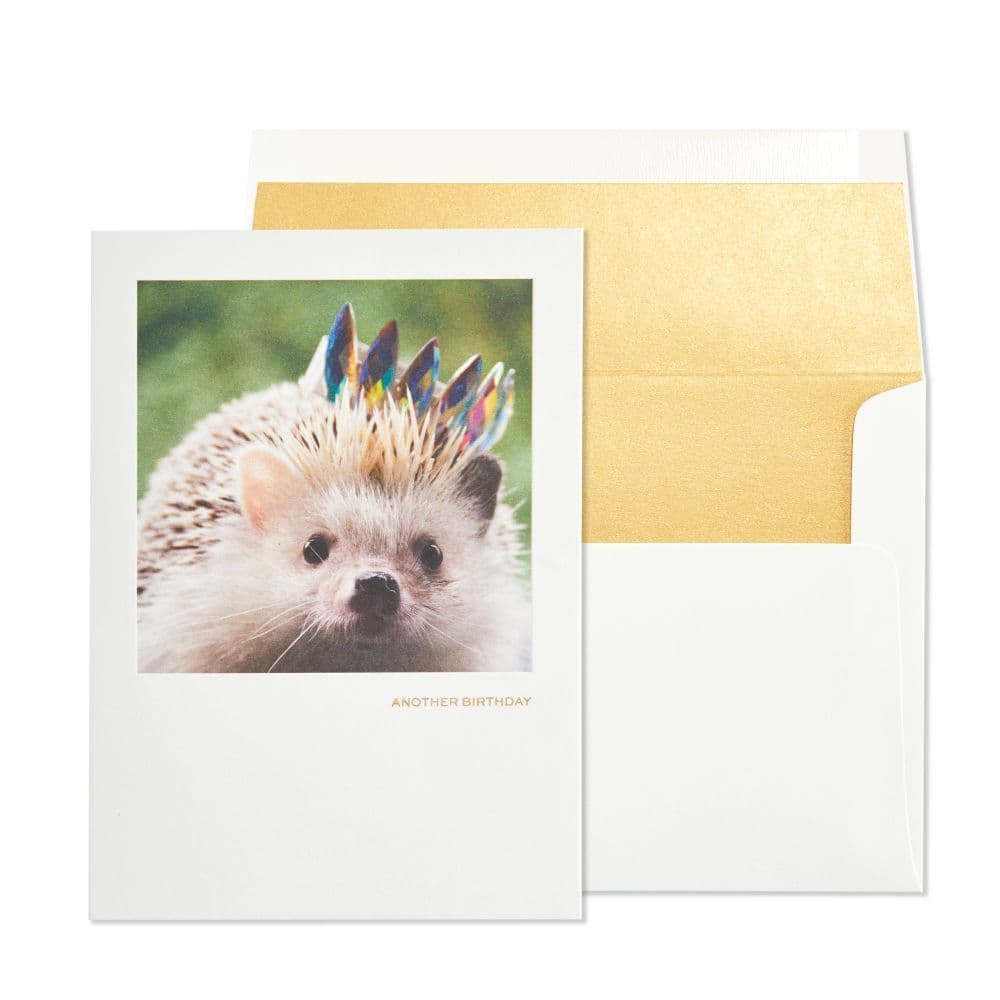 Hedgehog With Crown Birthday Card Main Product  Image width=&quot;1000&quot; height=&quot;1000&quot;