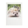 image Hedgehog With Crown Birthday Card 2nd Product Detail  Image width=&quot;1000&quot; height=&quot;1000&quot;