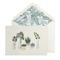 image Row Of Vases And Plants Greeting Card Main Product  Image width="1000" height="1000"