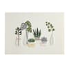 image Row Of Vases And Plants Greeting Card 2nd Product Detail  Image width=&quot;1000&quot; height=&quot;1000&quot;
