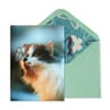 image Cat And Butterfly Greeting Card Main Product  Image width=&quot;1000&quot; height=&quot;1000&quot;