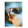 image Cat And Butterfly Greeting Card 2nd Product Detail  Image width=&quot;1000&quot; height=&quot;1000&quot;