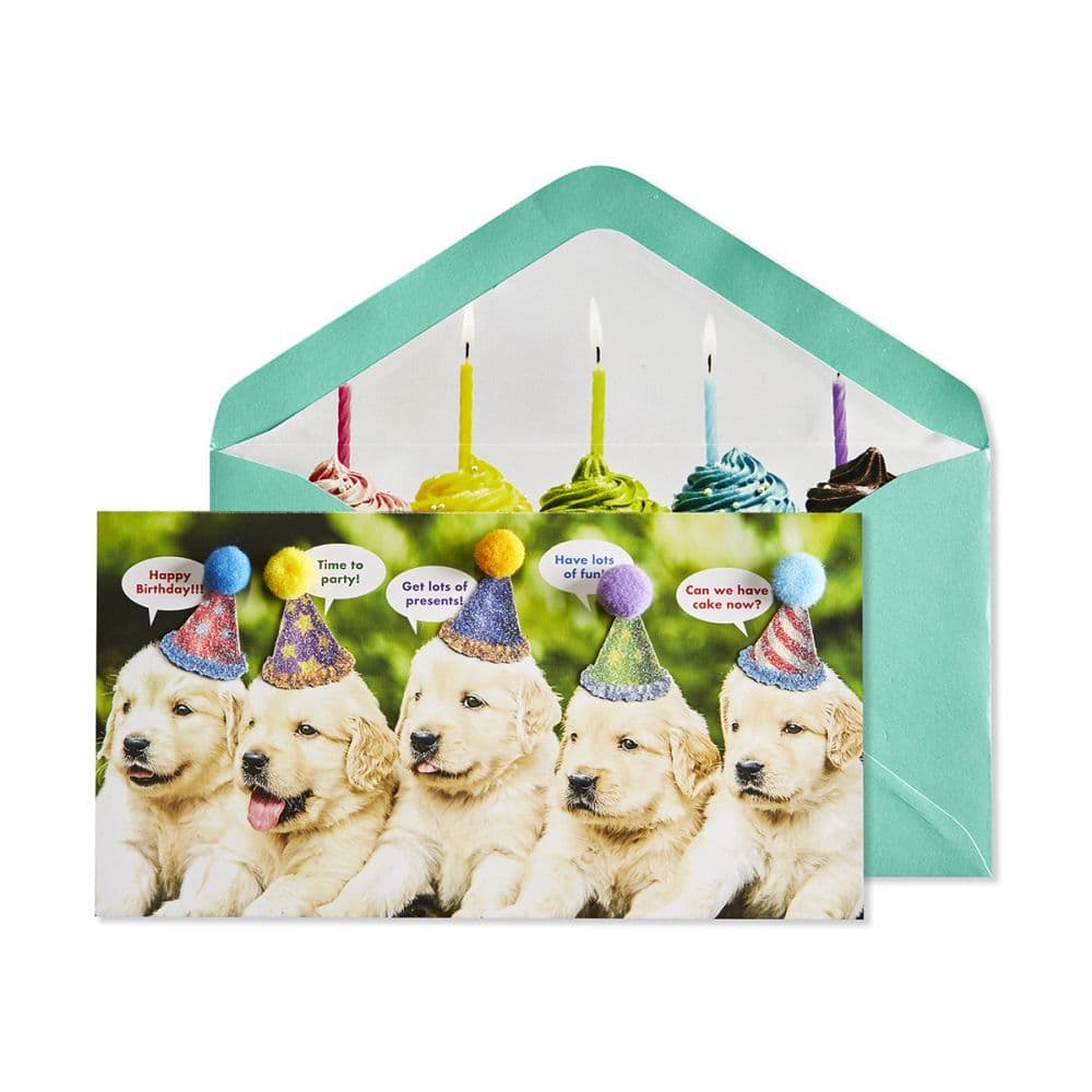 Row of Puppies Birthday Card Main Product  Image width=&quot;1000&quot; height=&quot;1000&quot;