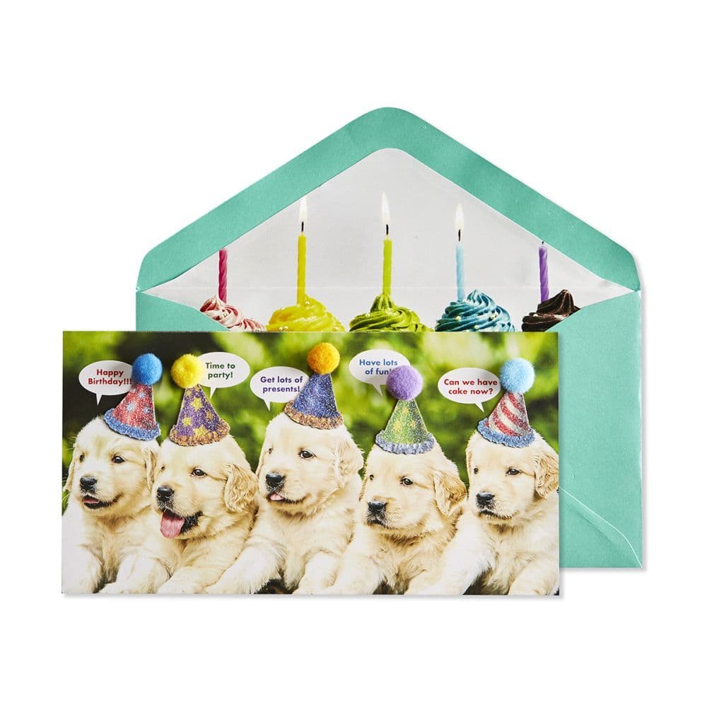 image Row of Puppies Birthday Card Main Product  Image width="1000" height="1000"
