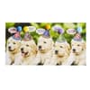image Row of Puppies Birthday Card First Alternate  Image width=&quot;1000&quot; height=&quot;1000&quot;
