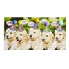 image Row of Puppies Birthday Card First Alternate  Image width="1000" height="1000"