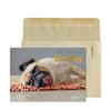 image Pug on Rug Birthday Card Main Product  Image width=&quot;1000&quot; height=&quot;1000&quot;