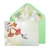 image Vellum Hummingbird Greeting Card Main Product  Image width="1000" height="1000"