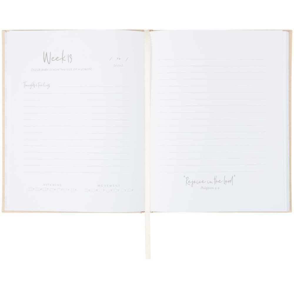 Little Blessings Pregnancy Prayer Journal 3rd Product Detail  Image width="1000" height="1000"