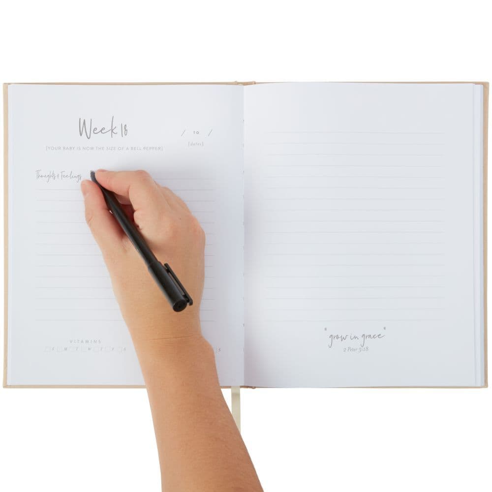 Little Blessings Pregnancy Prayer Journal 4th Product Detail  Image width="1000" height="1000"