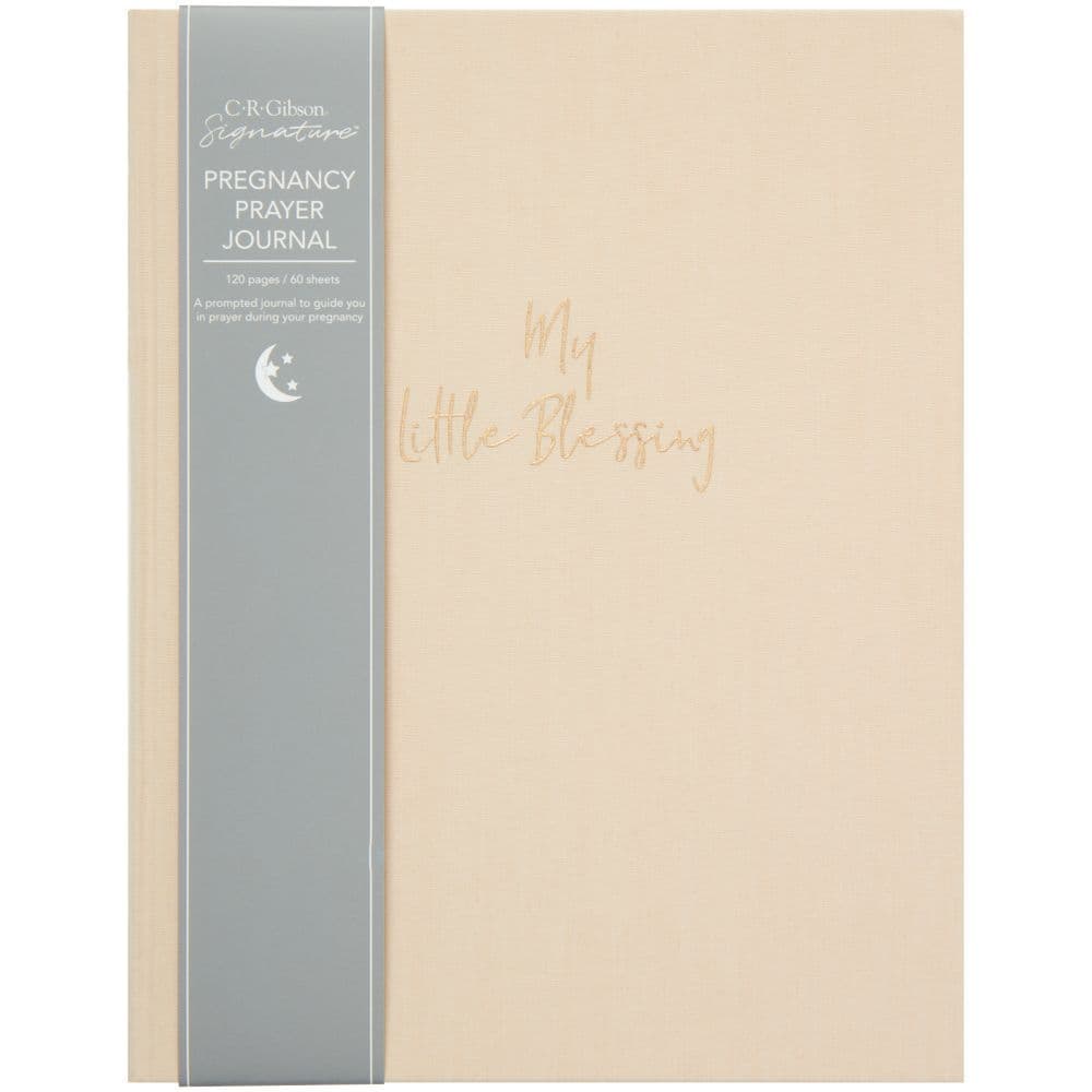 Little Blessings Pregnancy Prayer Journal 5th Product Detail  Image width="1000" height="1000"