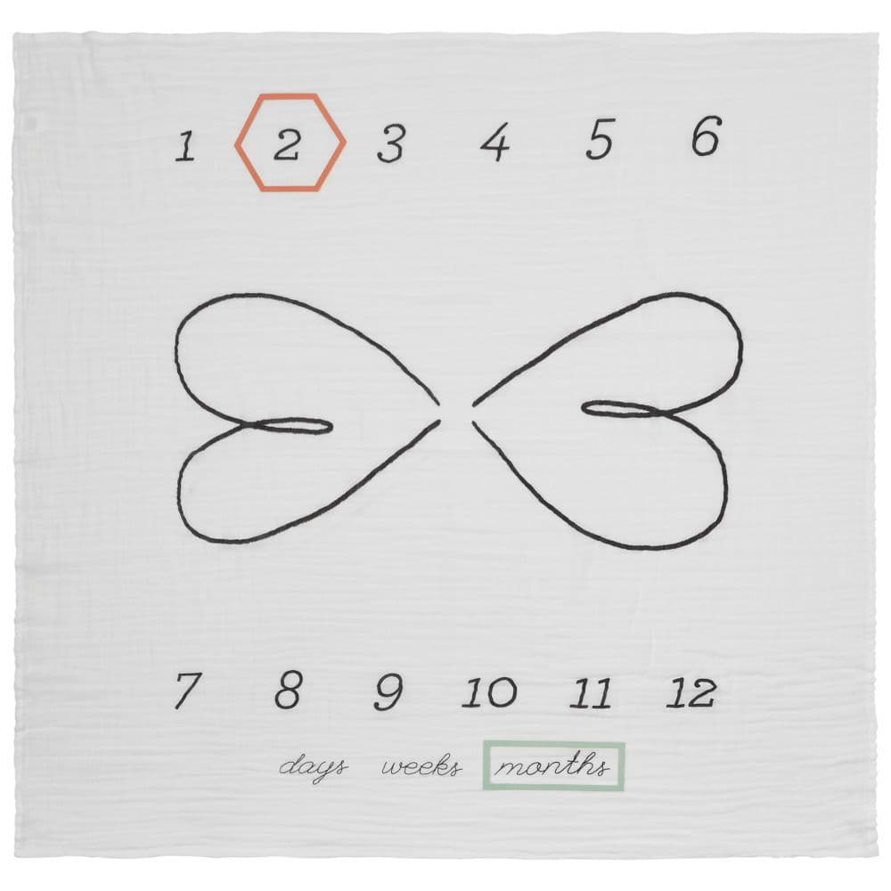 Hello Baby Milestone Blanket 4th Product Detail  Image width="1000" height="1000"