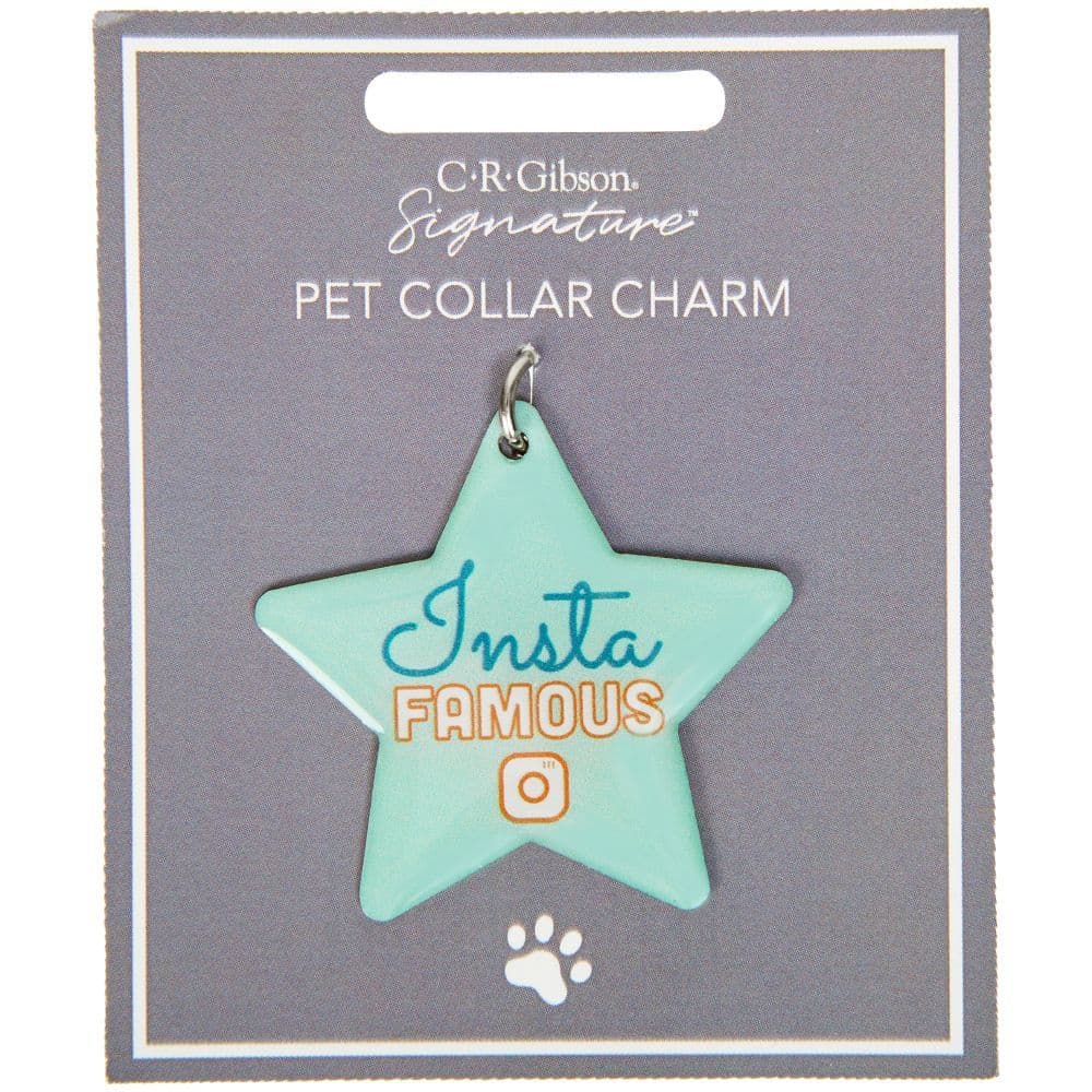 Insta Famous Dog Collar Slide Charm 3rd Product Detail  Image width="1000" height="1000"