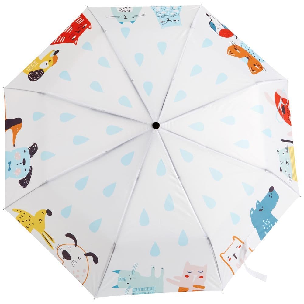Raining Cats And Dogs Umbrella 2nd Product Detail  Image width="1000" height="1000"