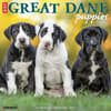 image Great Dane Puppies 2024 Wall Calendar Main Image width=&quot;1000&quot; height=&quot;1000&quot;