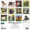 image Great Dane Puppies 2024 Wall Calendar Back of Calendar width=&quot;1000&quot; height=&quot;1000&quot;