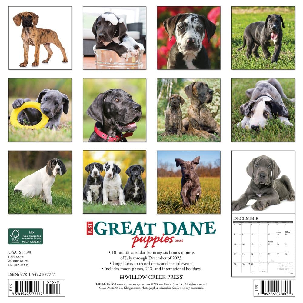 Great Dane Puppies 2024 Wall Calendar Back of Calendar width=&quot;1000&quot; height=&quot;1000&quot;
