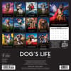 image Dogs Life 2024 Wall Calendar Back of Calendar width=&quot;1000&quot; height=&quot;1000&quot;